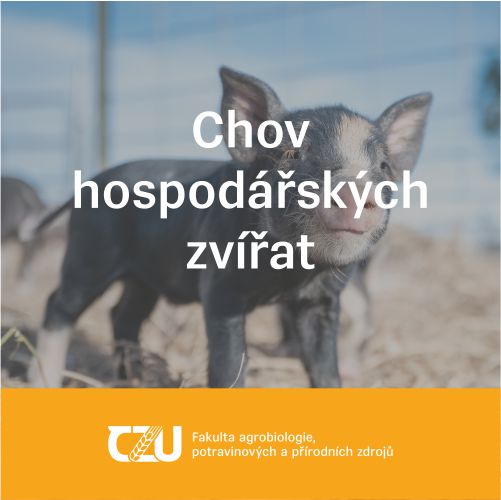 https://erasmus.agrobiologie.cz/portfolio-item/chov-hospodarskych-zvirat/