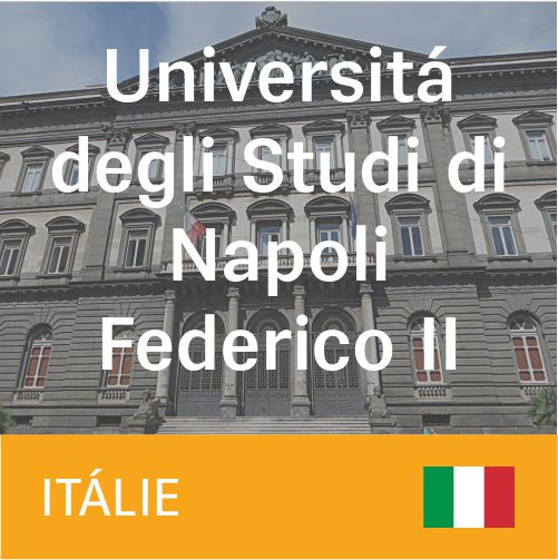 Universitá degli Studi di Napoli Federico II