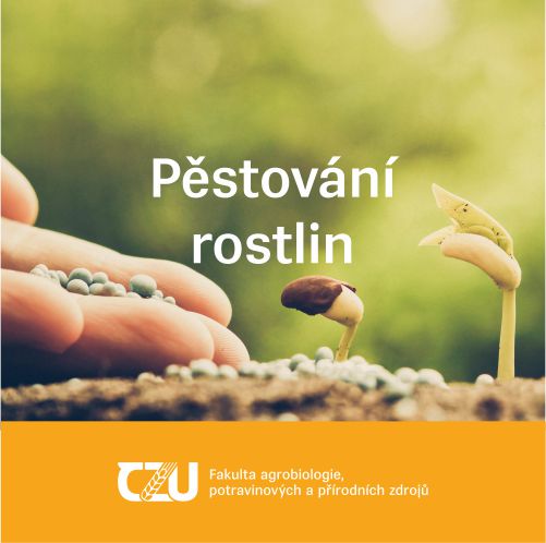 https://erasmus.agrobiologie.cz/portfolio-item/pestovani-rostlin-rostlinna-produkce/